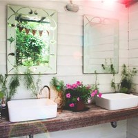 Arredare il bagno con le piante, una scelta di stile